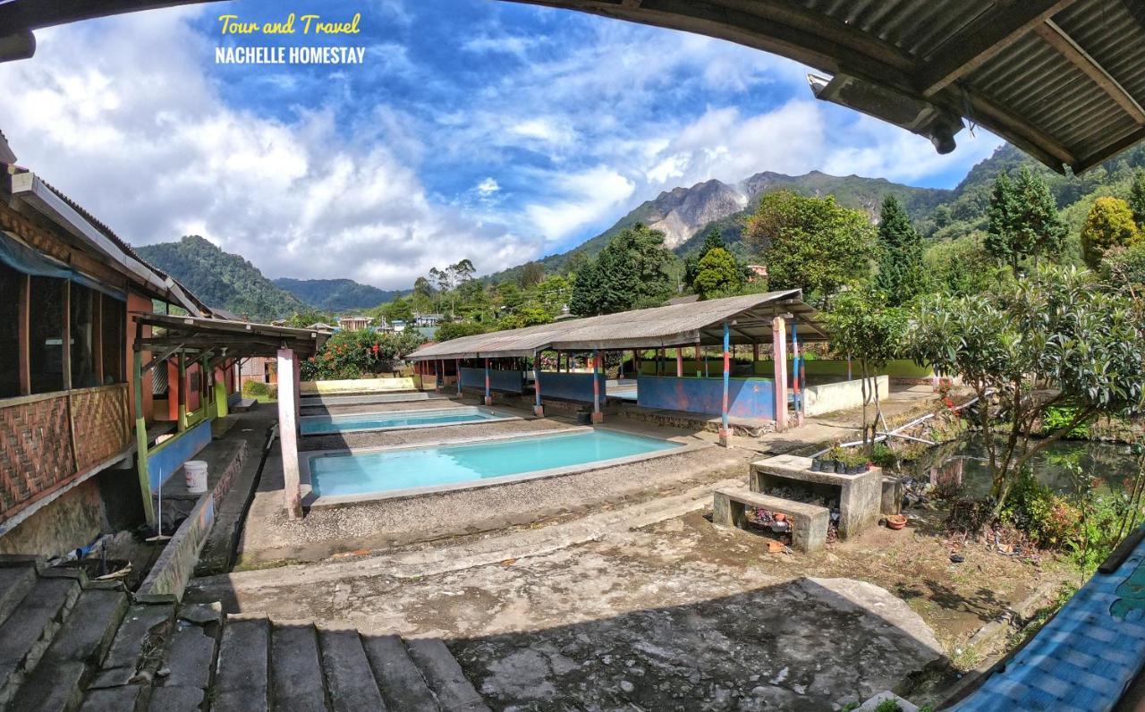 Nachelle Homestay ブラスタギ エクステリア 写真