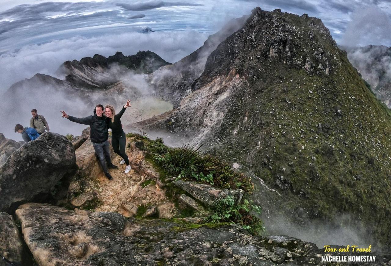 Nachelle Homestay ブラスタギ エクステリア 写真