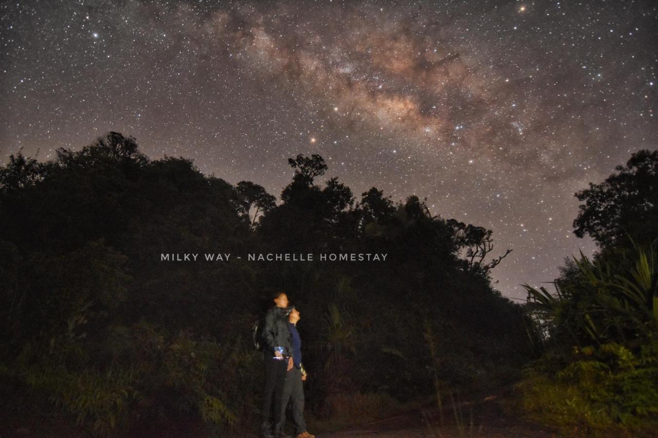 Nachelle Homestay ブラスタギ エクステリア 写真