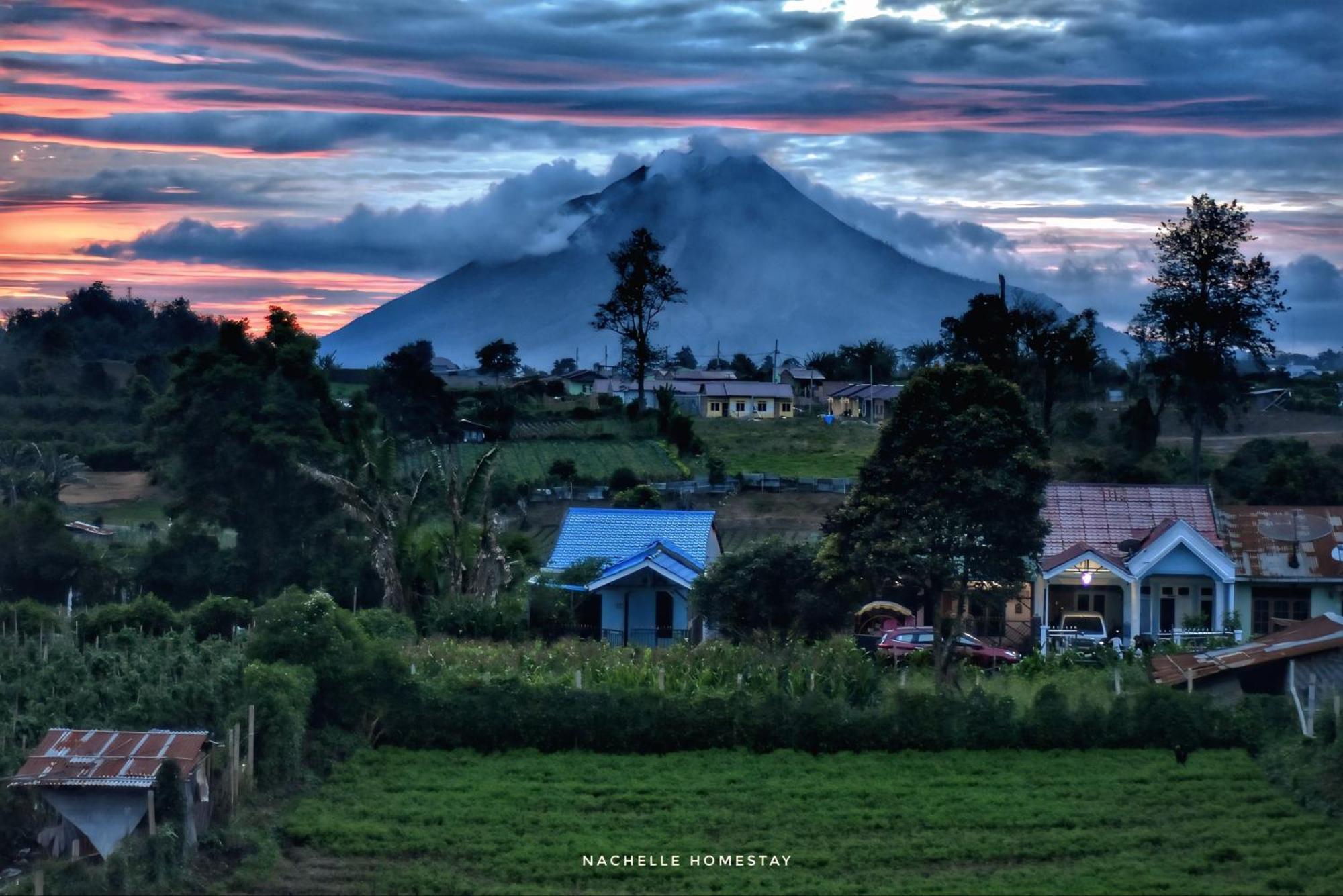 Nachelle Homestay ブラスタギ エクステリア 写真